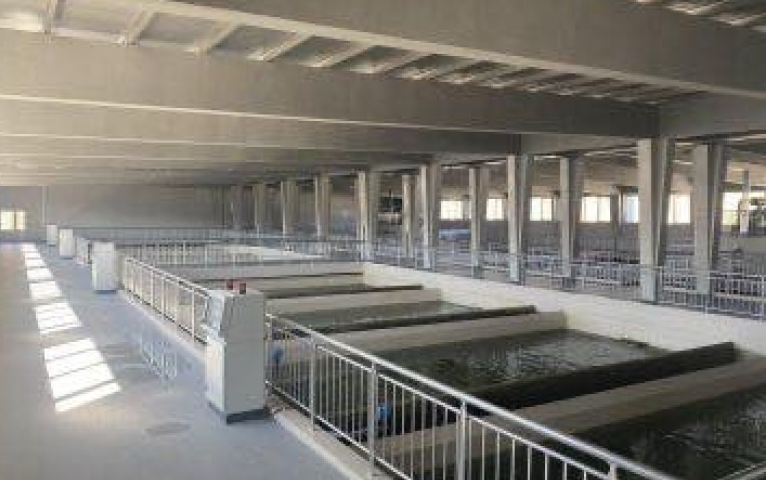 Pas shqetësimeve të qytetarëve, KRU “Gjakova”: Uji i pijes është i sigurt