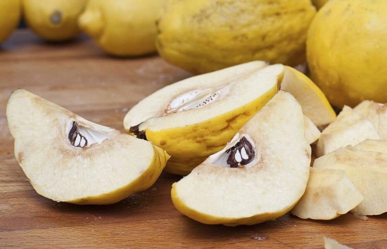 Farat e ftoit – kurë natyrale për dhimbjen e fytit dhe kollën