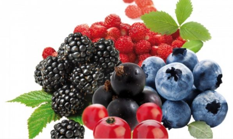 Frutat e pyllit, të pasura me antioksidantë dhe vitamina