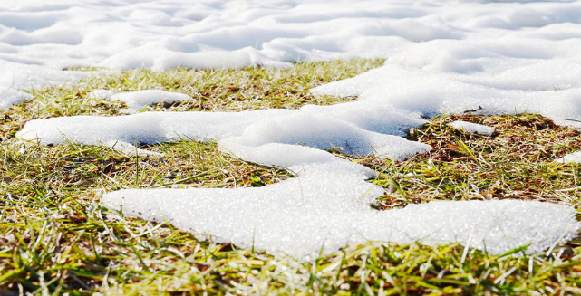 Harrojeni kripën: Një përbërës nga kuzhina shkrin akullin pa dëmtuar betonin