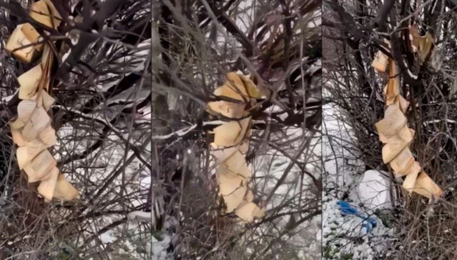 Myftiu Tërnava dënon djegien e Kuranit në Gjakovë: Akt kriminal që rrezikon harmoninë ndërfetare