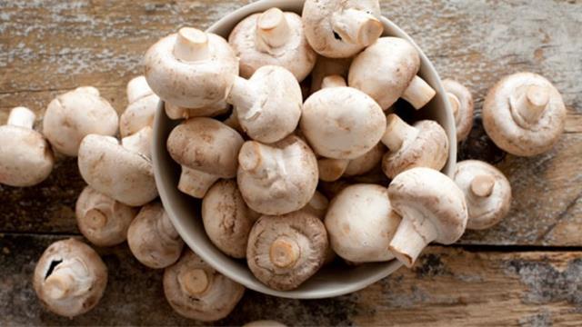 Pse duhet t’i konsumoni kërpudhat 🍄