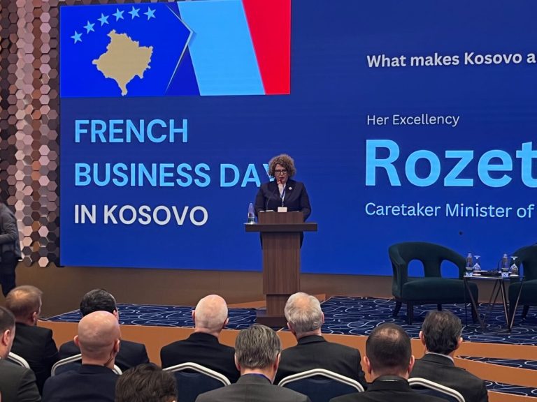 Hajdari: Kosova, destinacion i besueshëm për bizneset franceze