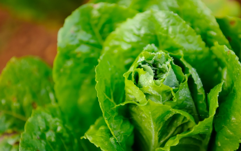 10 Burime të Shëndetshme Kalciumi Përtej Bulmetit