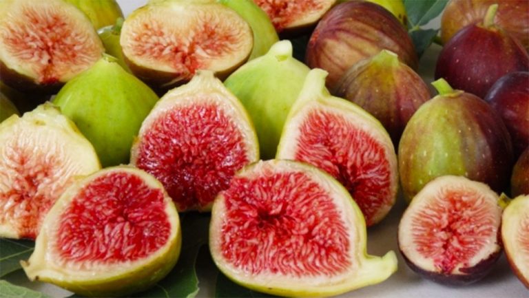 🍎 Frutat që Mbajnë Zemrën të Shëndetshme ❤️