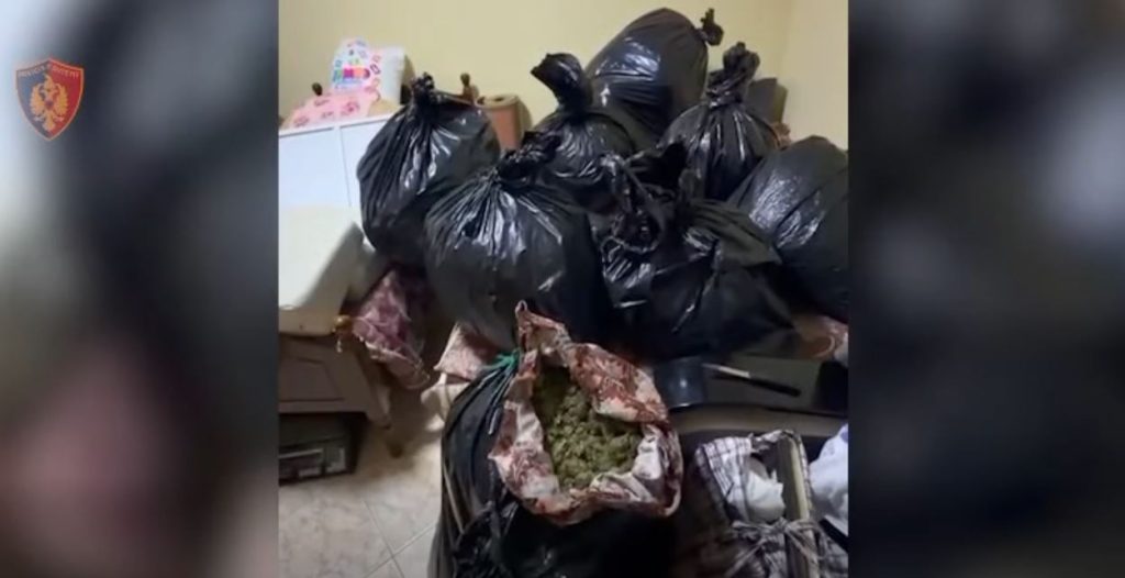 Operacion i madh antidrogë në Vlorë, sekuestrohen rreth 57 kilogramë kanabis
