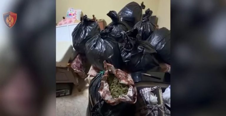 Operacion i madh antidrogë në Vlorë, sekuestrohen rreth 57 kilogramë kanabis