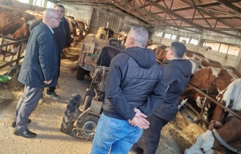 Nis vaksinimi pranveror dhe kontrolli i bagëtive në Rahovec