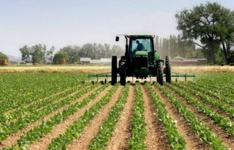 Mbi 95 milionë euro për bujqësinë në buxhetin 2026