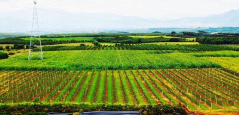 Rriten çmimet e inputeve bujqësore në Kosovë