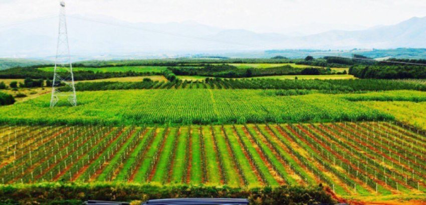 Rriten çmimet e inputeve bujqësore në Kosovë