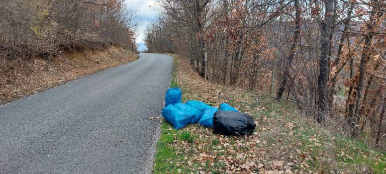 Vazhdon aksioni për pastrimin e fshatit Pagarushë