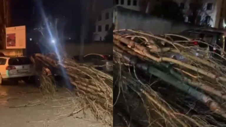 Era e fortë rrëzon pemë dhe dëmton makinë në Vlorë