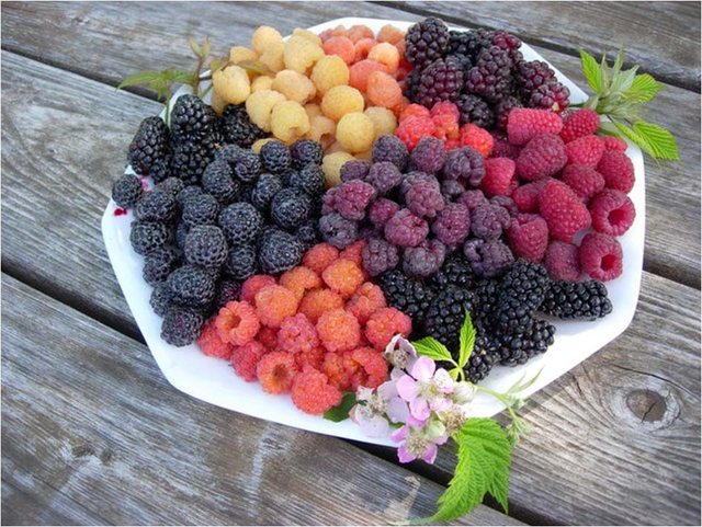 Mjedrat, superfruti që forcon zemrën dhe mbron organizmin