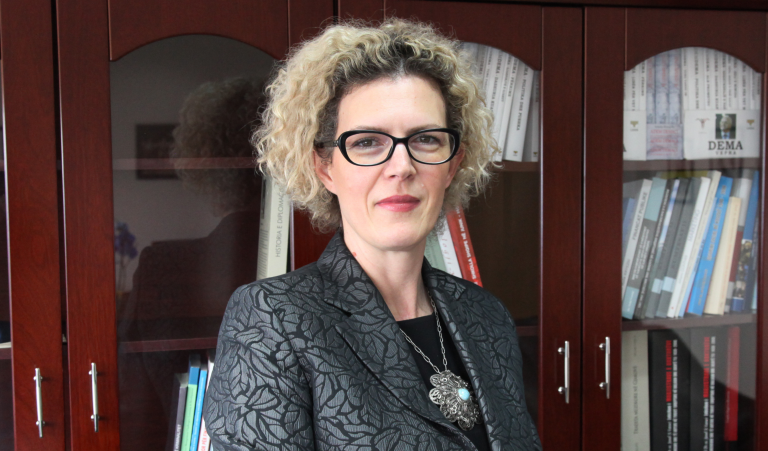 Ahmetaj: Kosova ka degraduar në raport me BE-në