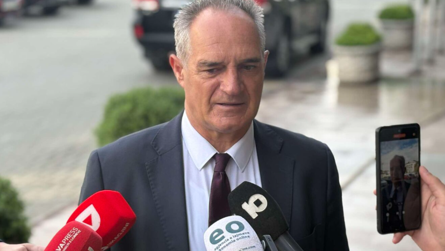 Nait Hasani: Do ta mbështesë Andin Hotin për president vetëm nëse PDK-ja qëndron në sallë