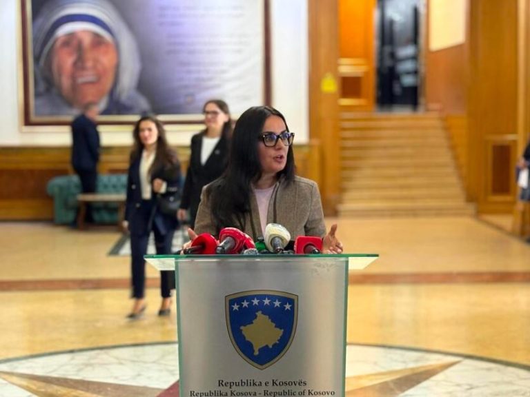 Lushaku-Sadriu: Po shkojmë drejt zgjedhjeve, LDK kritikon qeverinë për mungesë zgjidhjesh