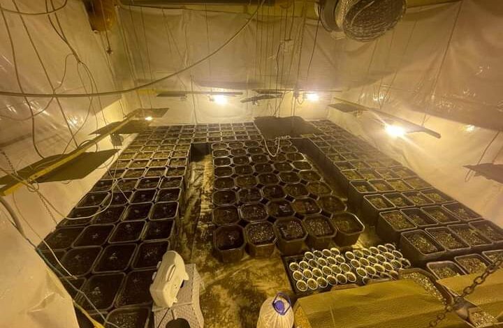 Zbulohet laborator i dyshuar për kultivim droge në Graçanicë