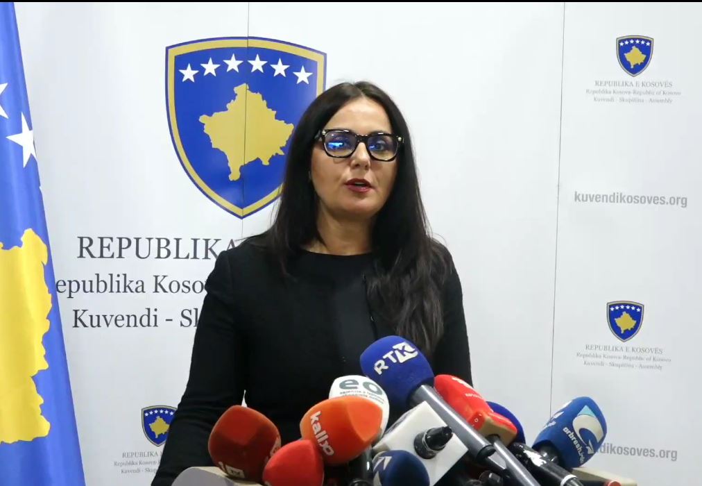 Lushaku-Sadriu: LDK mbështet 7 qershorin për mbajtjen e zgjedhjeve