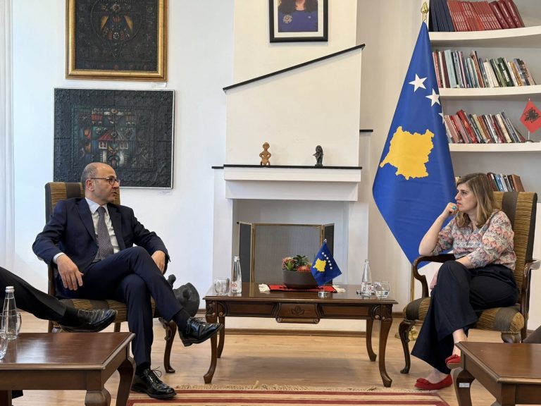Forcim i bashkëpunimit kulturor: Bogujevci takon drejtorin e Fondacionit Domenico Bartolucci