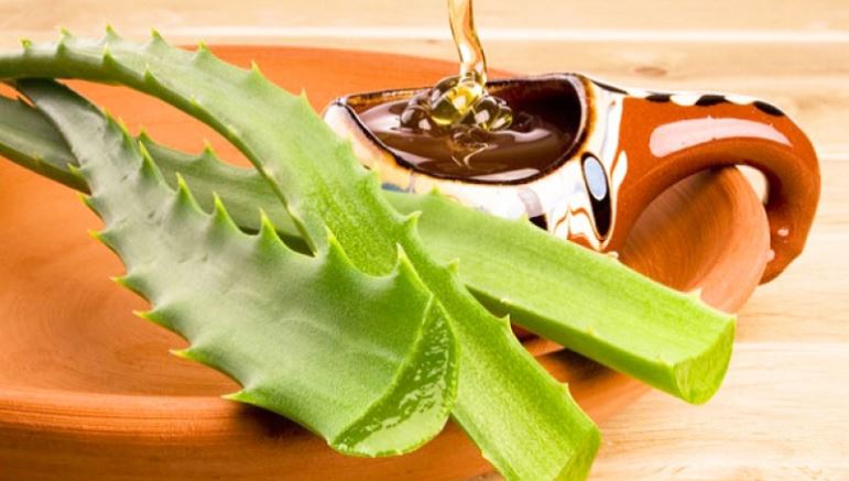 Mjalti dhe Aloe Vera – kombinim natyral me përfitime shëndetësore
