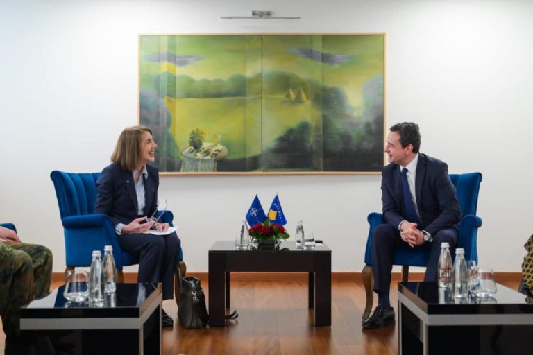 Kryeministri Kurti takoi drejtoren e NATO-s për Operacione, Hallengren