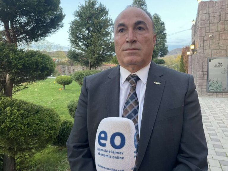 Shahini: Çmimet tavan pa rregullator të pavarur cenojnë tregun