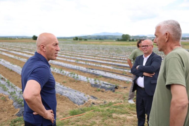 Në Krushë të Madhe është zhvilluar aktiviteti “Korr e ha n’katun”, ku është vizituar ferma bujqësore e Muharrem Hotit dhe Imer Durakut
