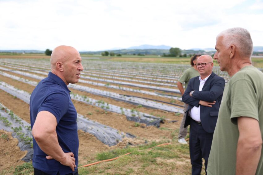 Në Krushë të Madhe është zhvilluar aktiviteti “Korr e ha n’katun”, ku është vizituar ferma bujqësore e Muharrem Hotit dhe Imer Durakut
