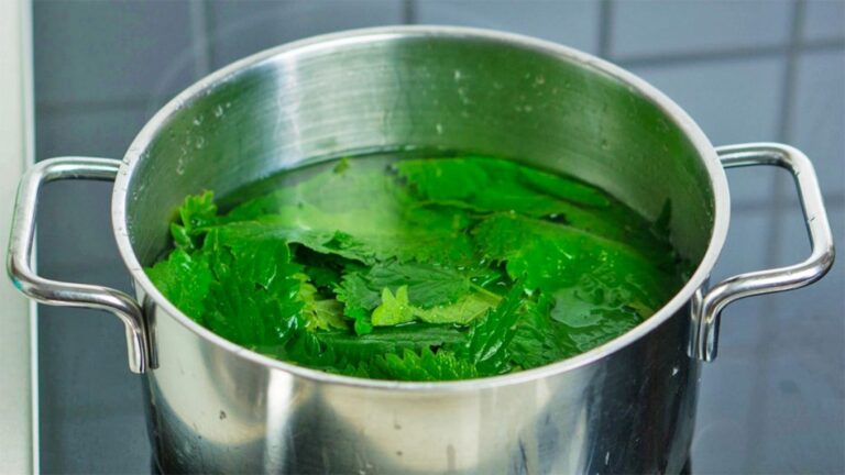 🌿 Uji i hithrës për forcimin dhe kundër rënies së flokëve 💇‍♀️