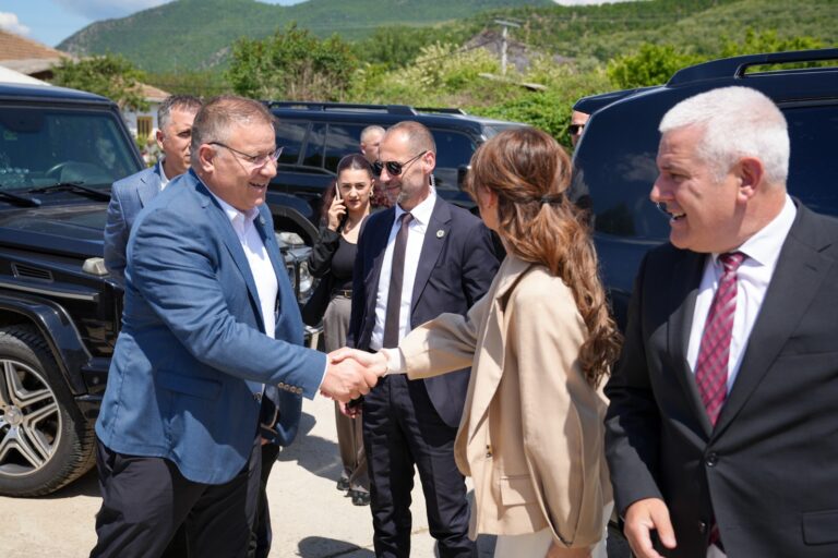 Haxhiu përuron strehimoren e parë institucionale në veri