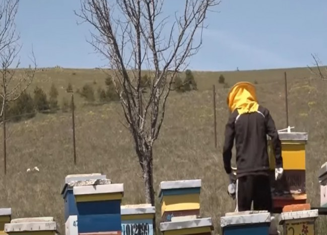 Bletarët kërkojnë më shumë grante, MBPZHR premton mbështetje