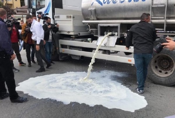 Fermerët protestojnë, hedhin qumështin në lum