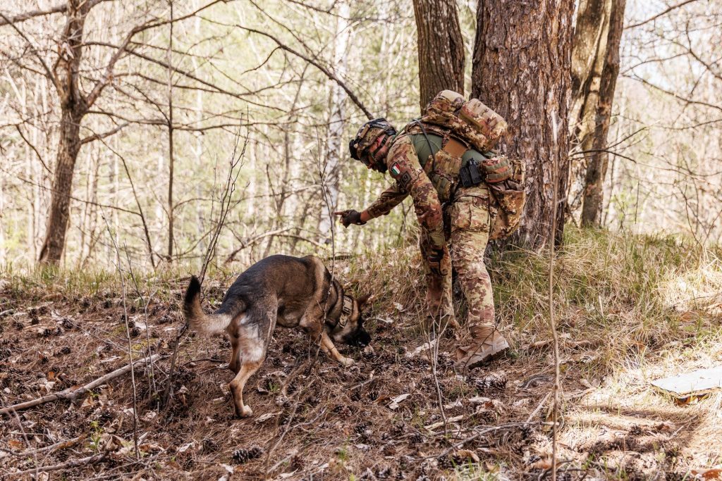 KFOR zhvillon stërvitje me njësi inxhinierike dhe K9 në Deçan