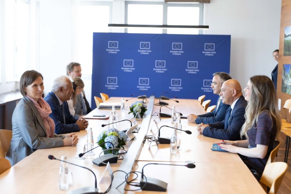 Gjini: BE dhe NATO mbeten rruga e vetme strategjike për Kosovën