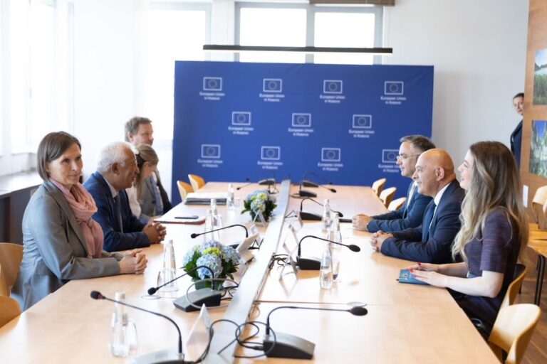 Gjini: BE dhe NATO mbeten rruga e vetme strategjike për Kosovën