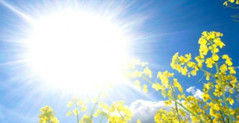 ☀️ Mot i këndshëm sot në Kosovë, temperaturat deri në 25°C