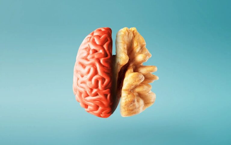 7 vitamina që ndihmojnë shëndetin dhe funksionin e trurit