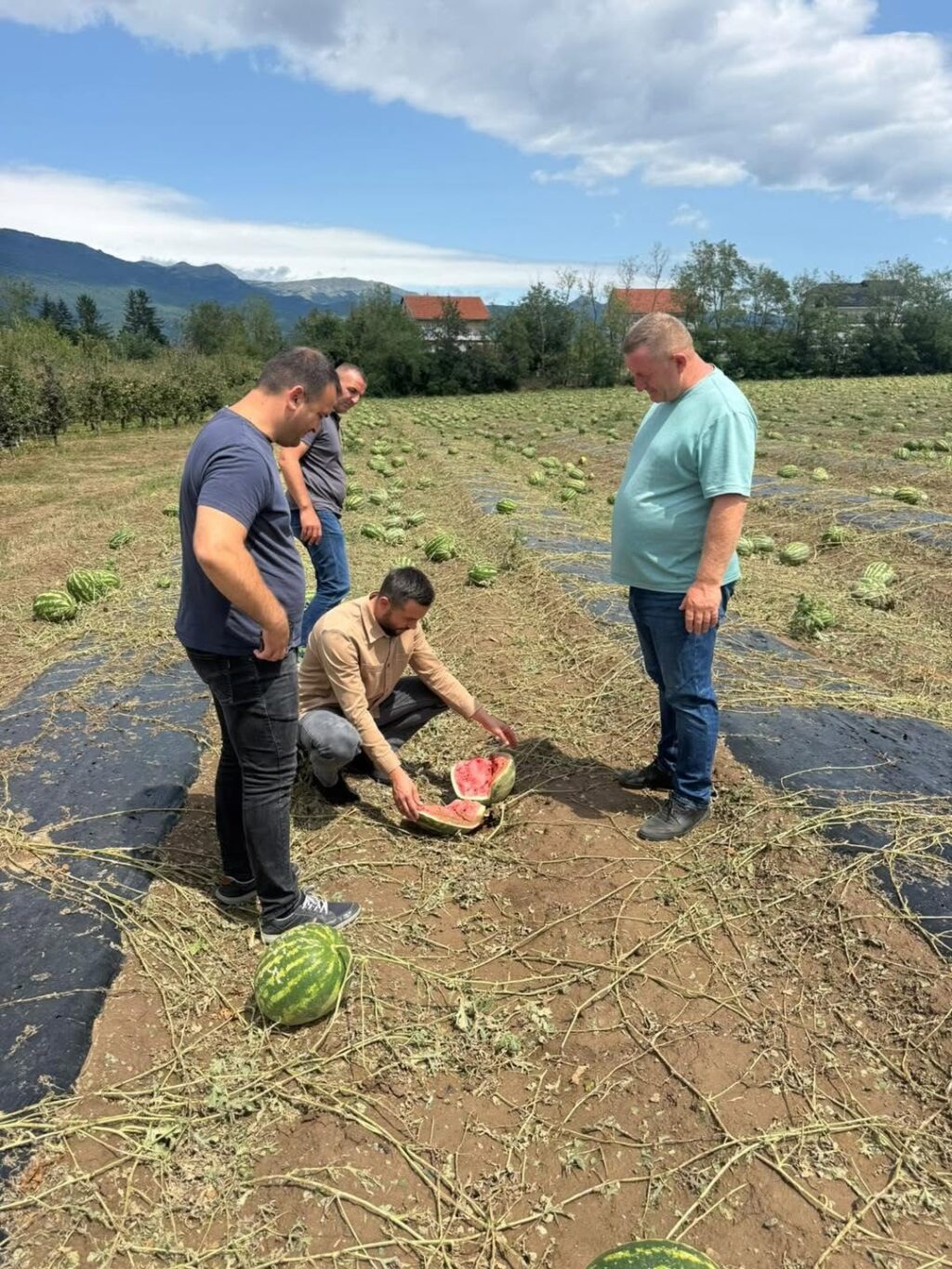 Tahiri kërkon mbështetje për fermerët pas dëmeve nga breshëri