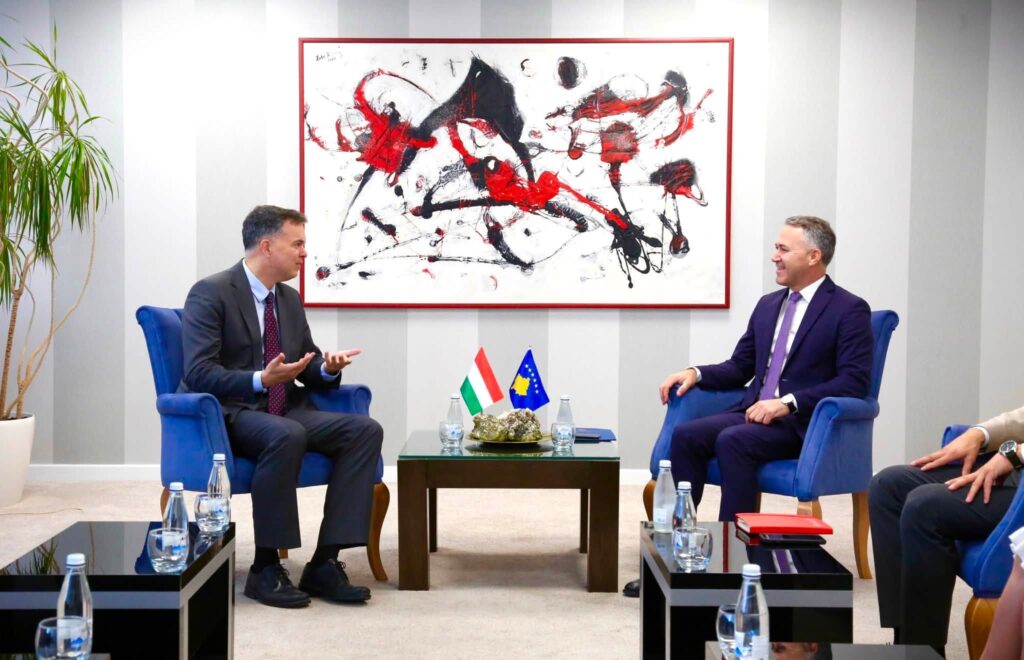 Zulfaj dhe ambasadori hungarez diskutojnë rrugën e Kosovës drejt BE-së