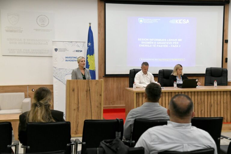 Bizneset informohen për grantet për energji të pastër