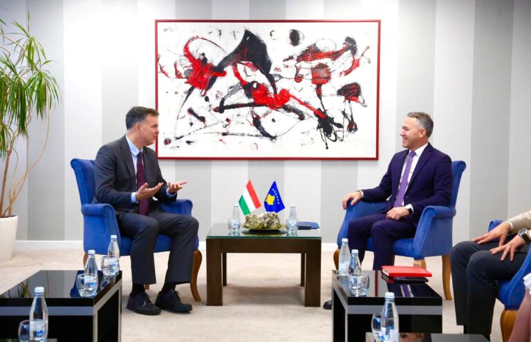 Zulfaj dhe ambasadori hungarez diskutojnë rrugën e Kosovës drejt BE-së