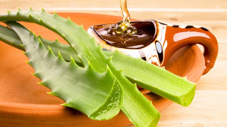Mjalti dhe Aloe Vera, kombinimi natyral që po përdoret gjithnjë e më shumë