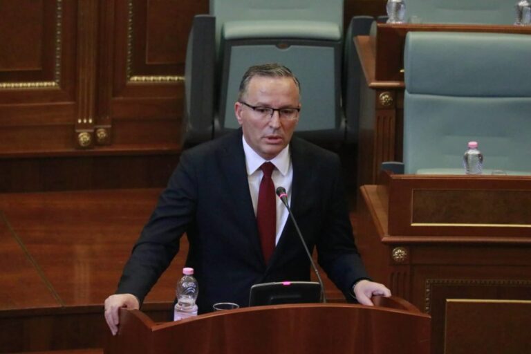 Hamza: Kosova ka nevojë për lidership që forcon aleancat