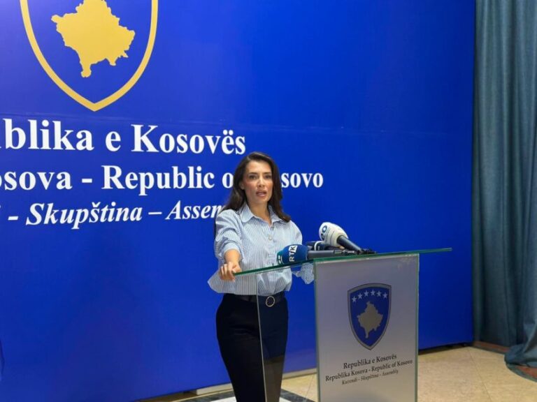 Musliu-Shoshi: Rendi kushtetues është në rrezik