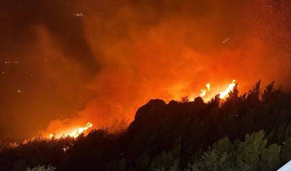 Përmirësohet situata me zjarret në Shqipëri, katër vatra ende aktive