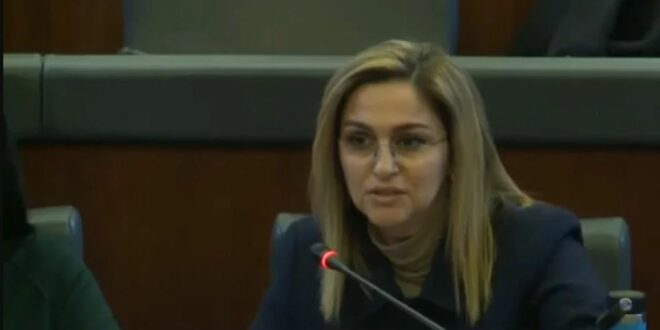 Mehmeti-Selimi: Sot na duhet marrëveshje për funksionalizimin e institucioneve