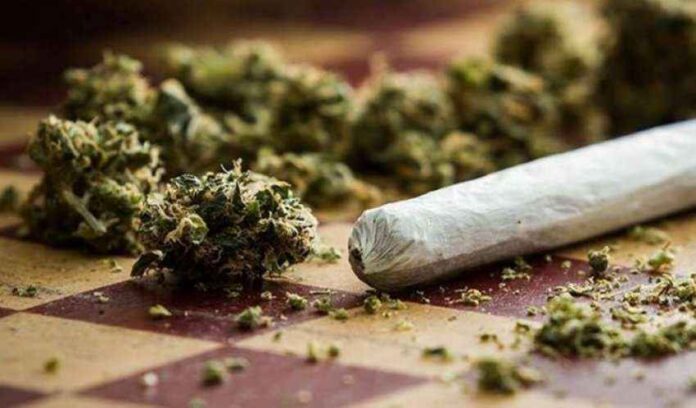 11 gram marihuanë dhe mjete për konsum, sekuestrohen në Temecinë të Malishevës