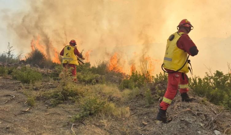5 zjarre në Shqipëri, 8 ende aktive