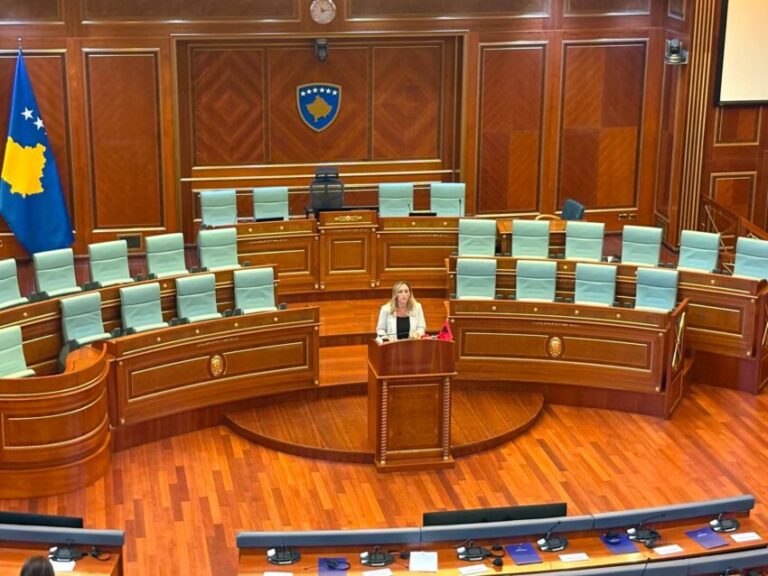 Bytyqi: Ujmani duhet mbrojtur, Kosova përballet me krizë energjie dhe ikje të të rinjve